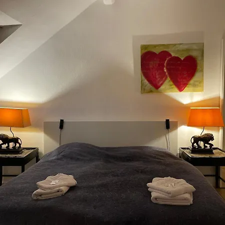 Grosse Mansarden-wohnung Appartement